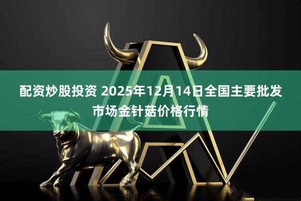 配资炒股投资 2025年12月14日全国主要批发市场金针菇价格行情