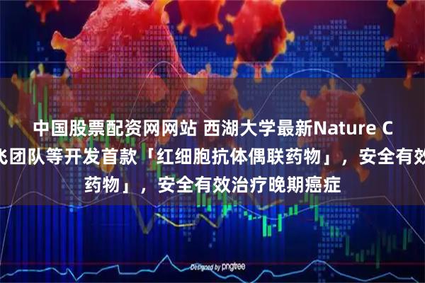 中国股票配资网网站 西湖大学最新Nature Cancer：高晓飞团队等开发首款「红细胞抗体偶联药物」，安全有效治疗晚期癌症
